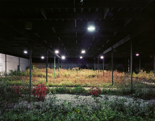 ulrich-dark-stores-17
