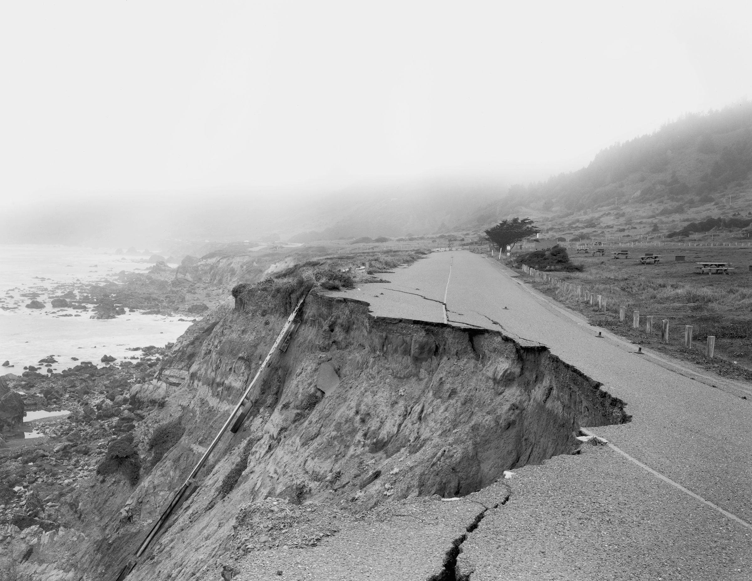 Click to Enlarge Photo by Taiyo Onorato & Nico Krebs
