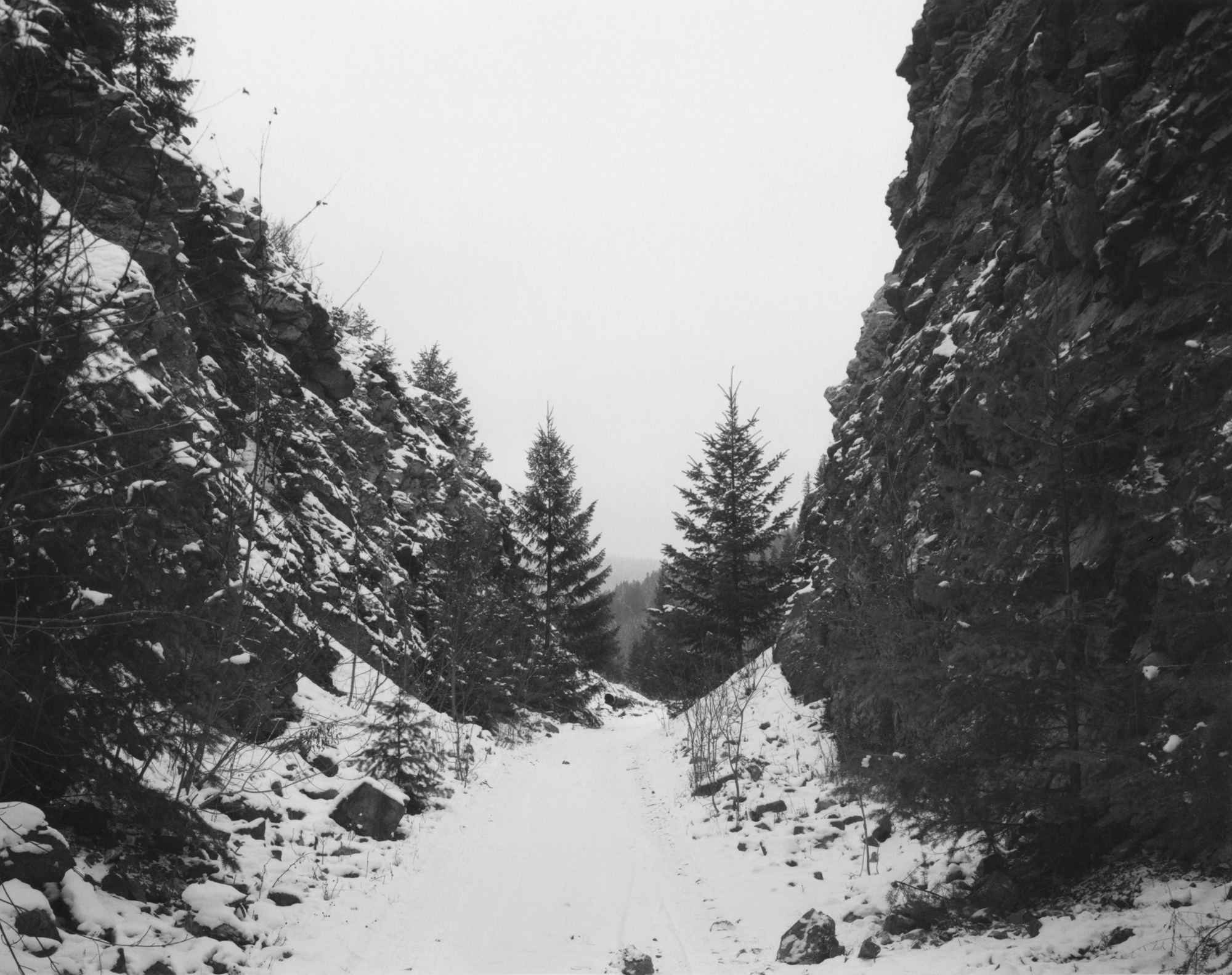 Click to Enlarge