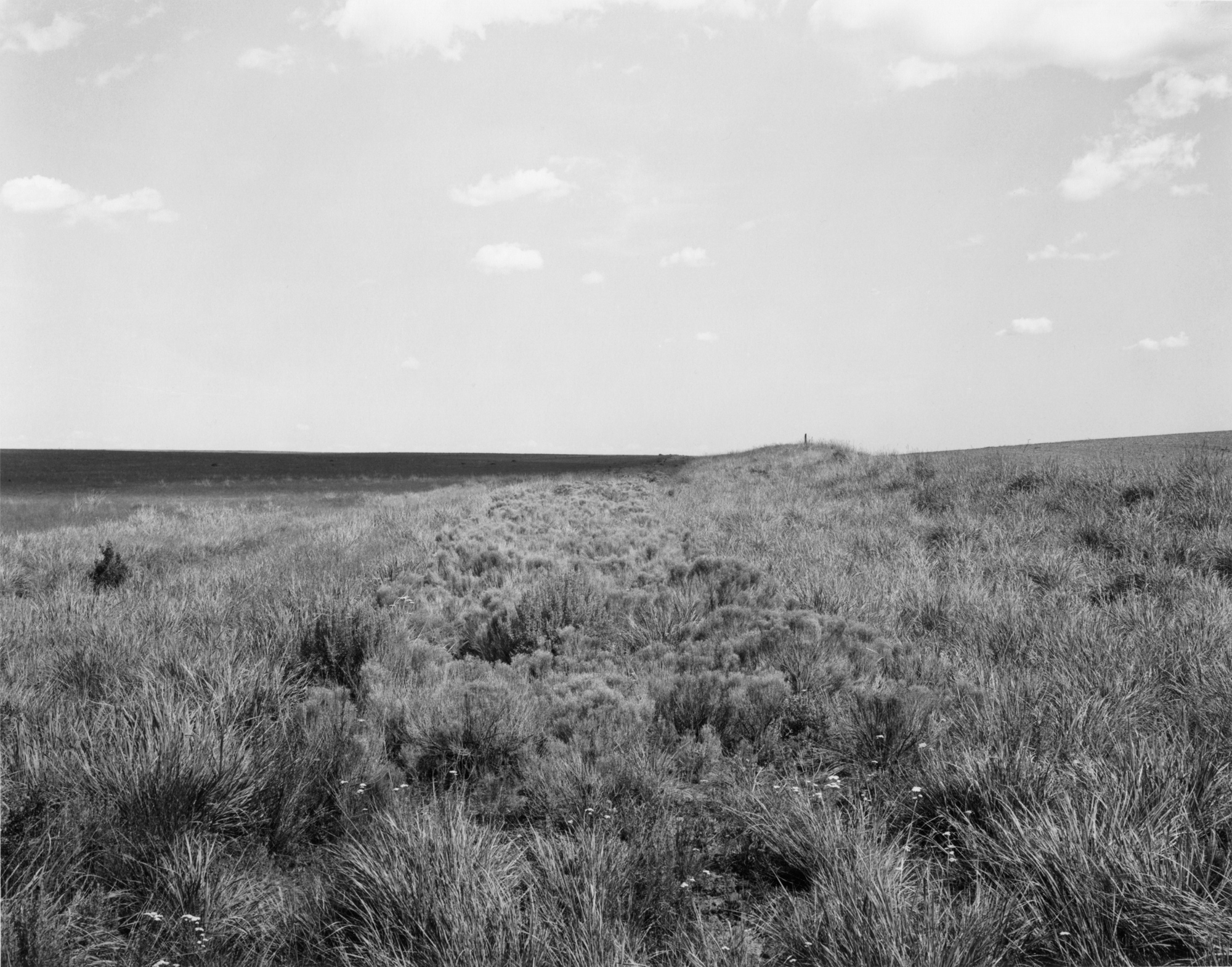 Click to Enlarge