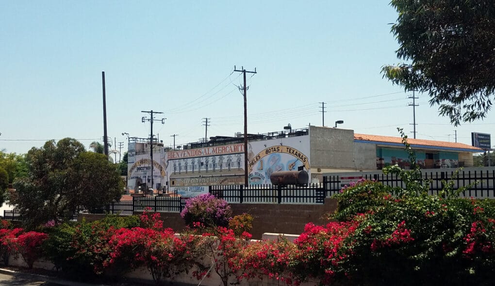 Low slung market building with red flowers blooming in foreground