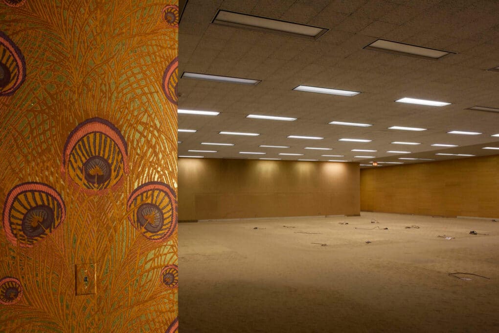 Empty conference room with peacock-tail wallpaper.