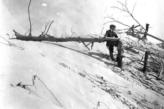 Blakc and white photograph showing man in suit, tie, and cap standing beside a dead fall tree on the slope of a sand dune.