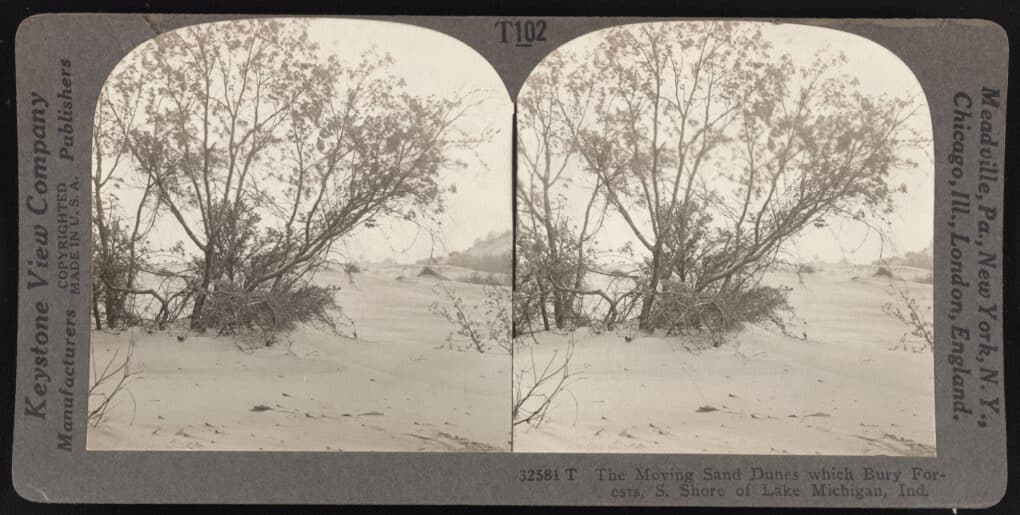 Black and white stereo slide showing sand dune encroaching on trees.