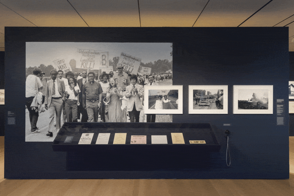 Installation view of Emerging Ecologies. 