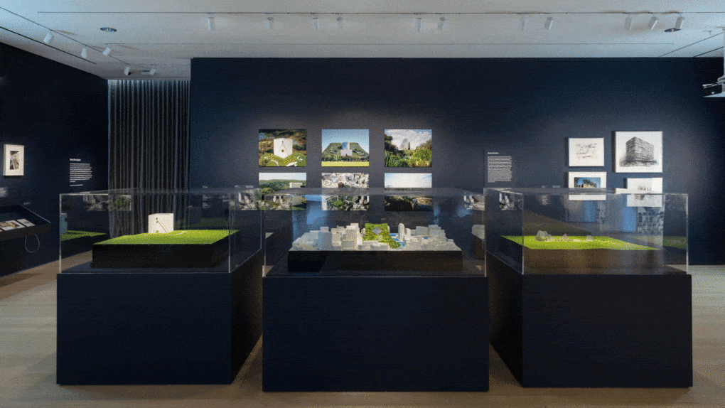 Installation view of <em>Emerging Ecologies</em>, section on "Green Poetics." 