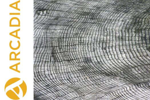 Right: Arcadia Fund logo; Left: rings of a tree