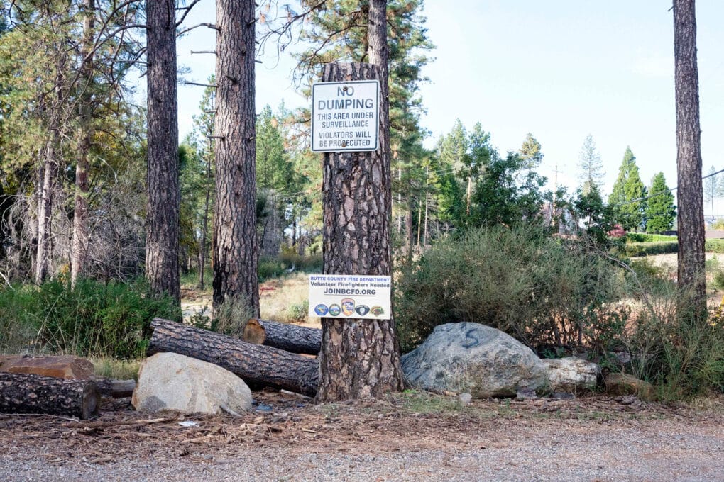 Color photograph of two signs nailed to a large tree stump. One reads "No Dumping," the other "Butte County Fire Department Volunteer Fire Fighters Needed."