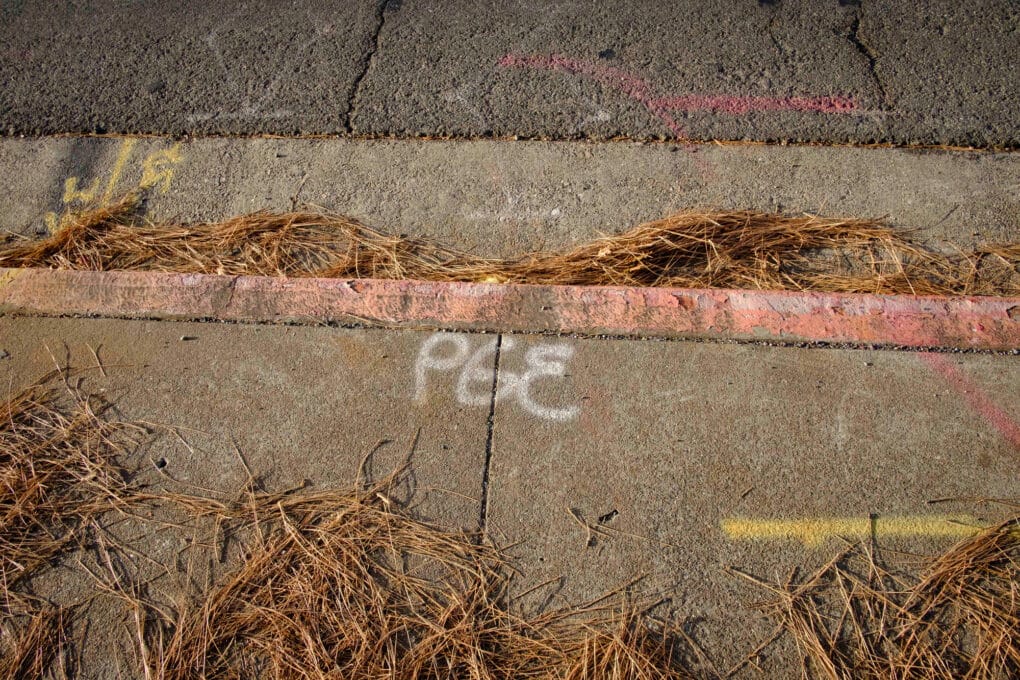 Color photograph of a sidewalk littered with pine straw, with the letters PGE spraypainted on the concrete.