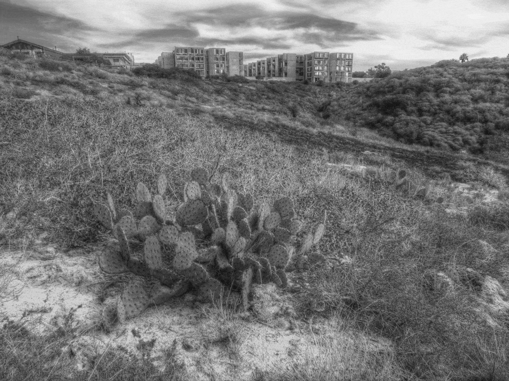 Salk Institute, ca. 2015. 