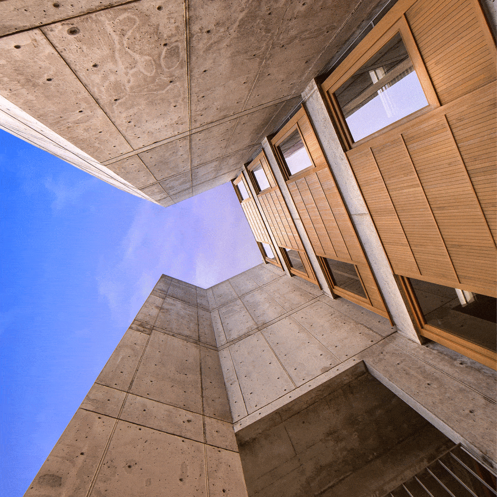 The teak windows of the Salk Institute, following the recent conservation project. 