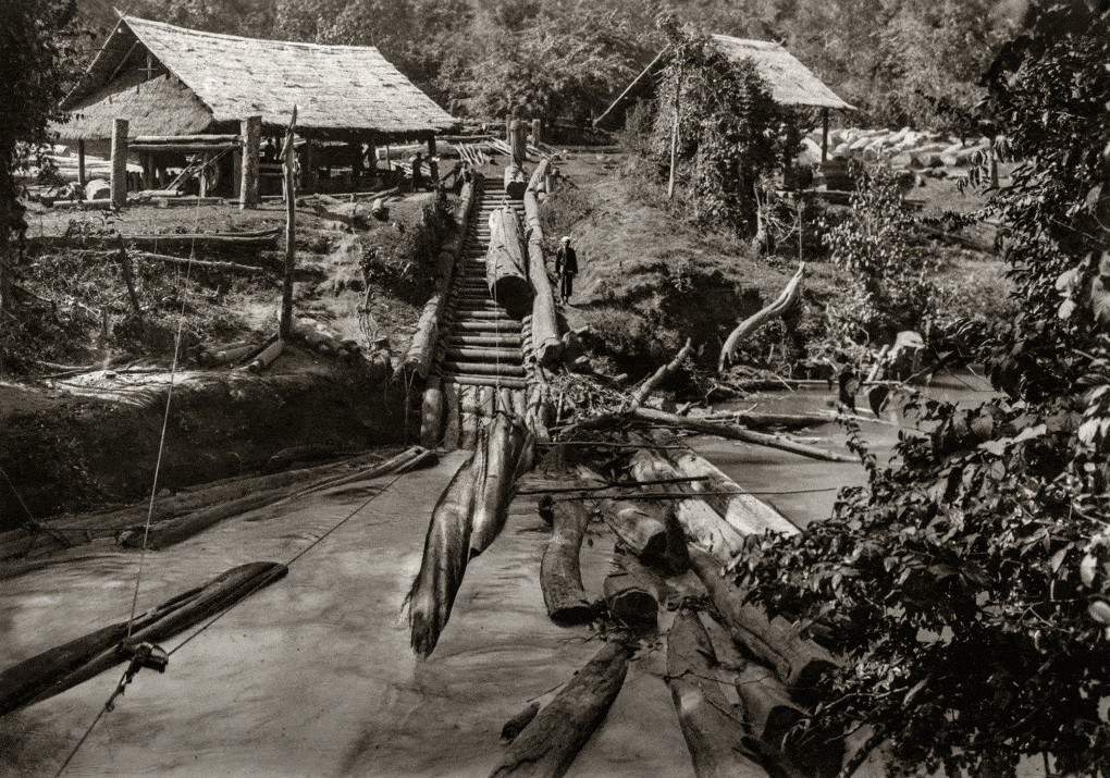 Teak logging at the Bombay Burma Trading Corporation, Myanmar, ca. 1920. 