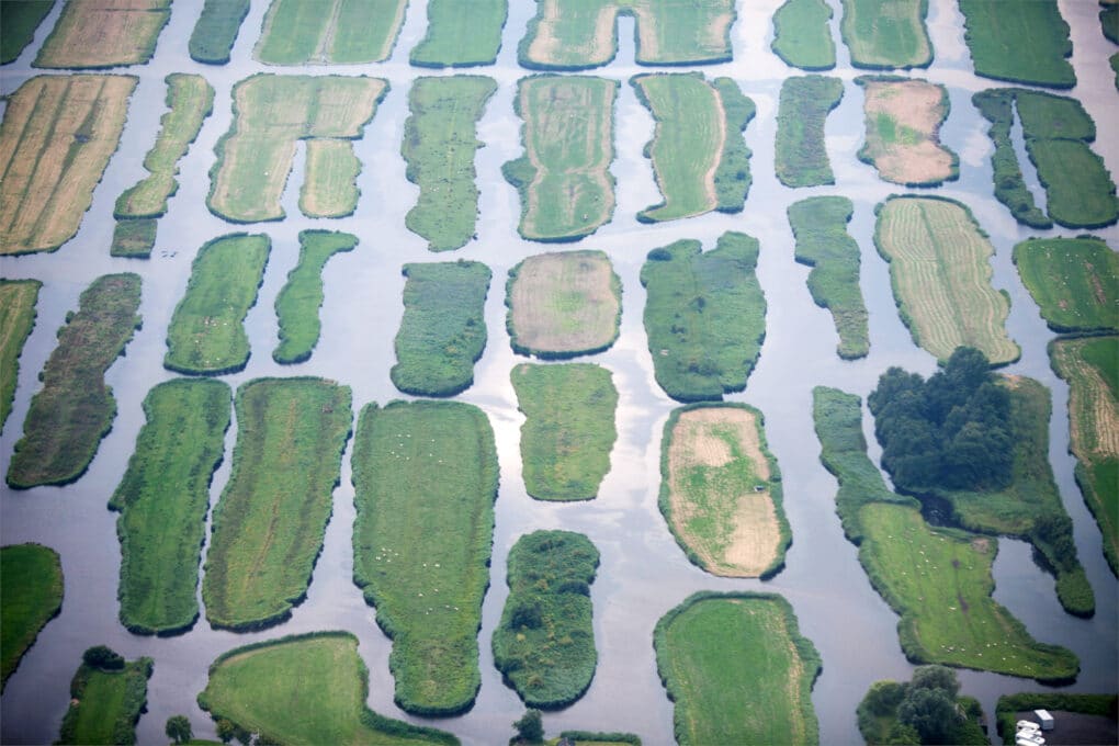 High water in a polder landscape