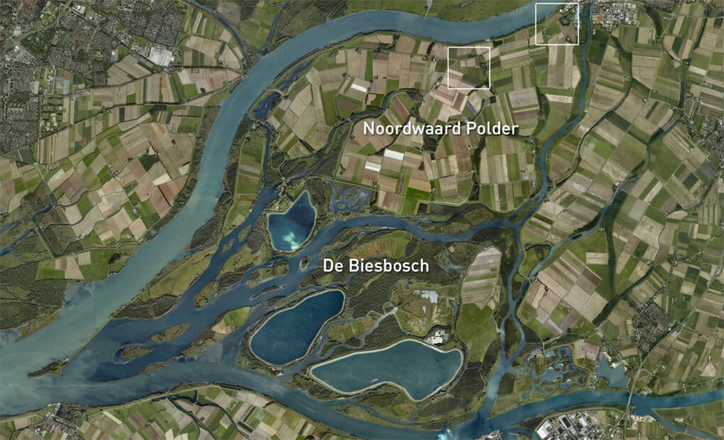 A satellite images of the Nieue Merwede-Waal confluence, showing agricultural fields within the Noordwaard Polder, before it was breached, along with the De Biesbosch national park.
