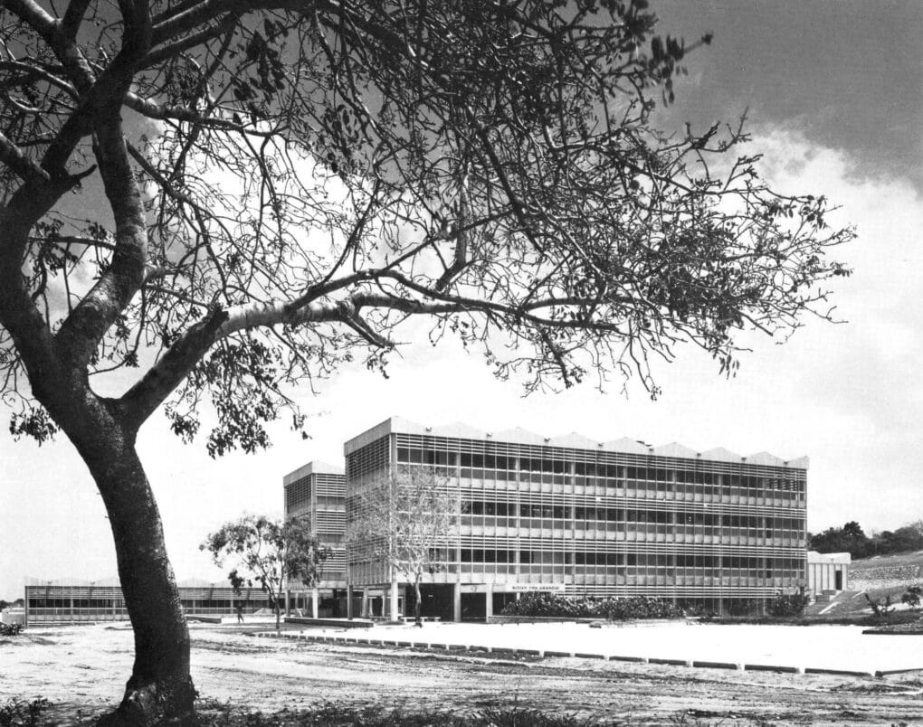 Black-and-white photograph of twinned International Style buildings, framed by a large tree.
