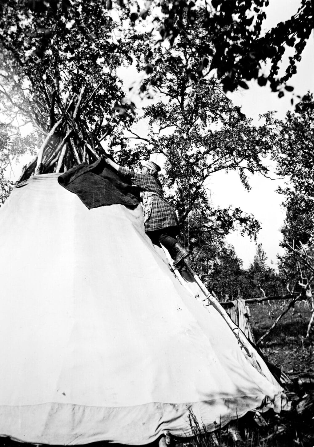 Black and white historical photo of a child high up on a ladder, adjusting the top of a teepee.