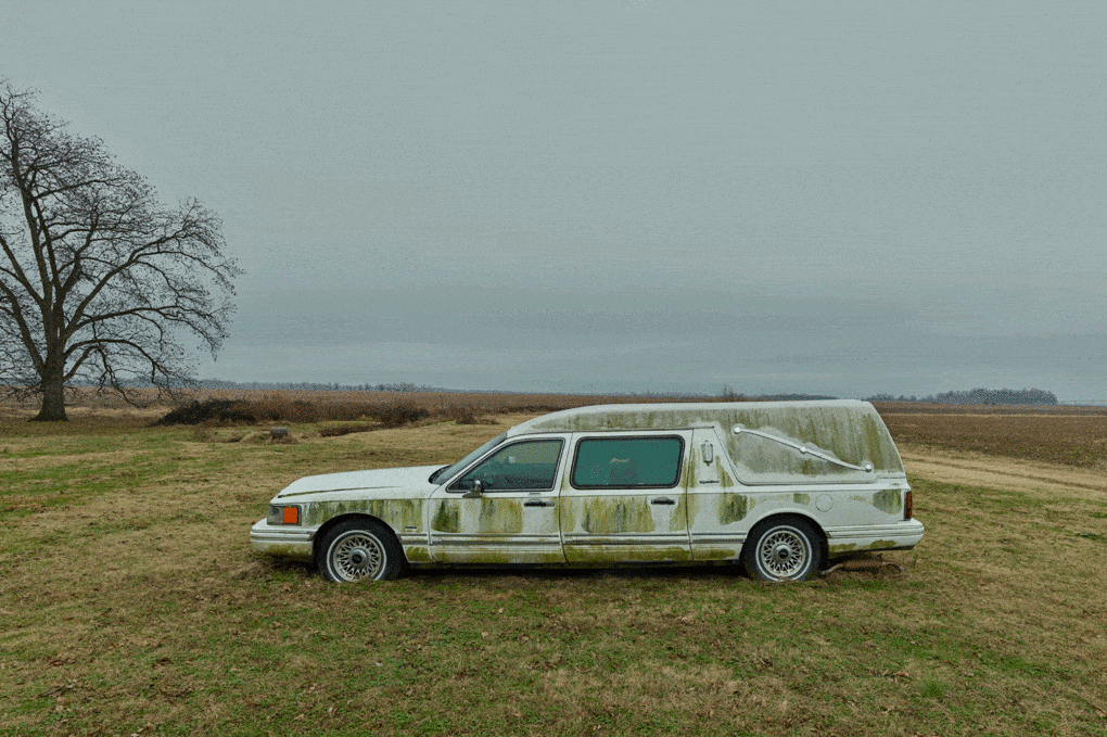 Photo of hearse in a field, Birdsong, Arkansas, 2020.
