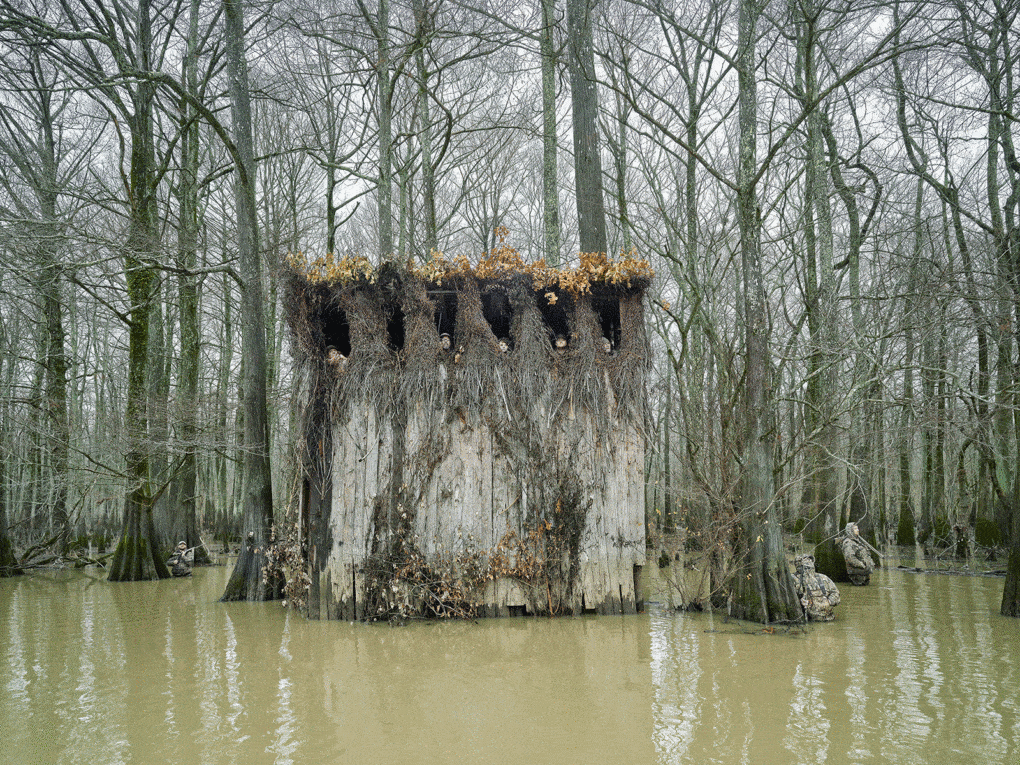 Photo of duck blind, Trumann, Arkansas, 2022.