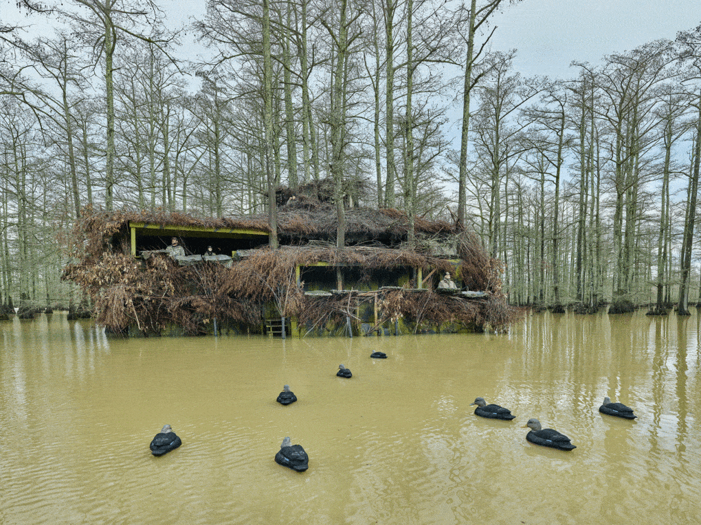 Photo of Cypress Run Duck Blind. Forrest City, Arkansas, 2023.