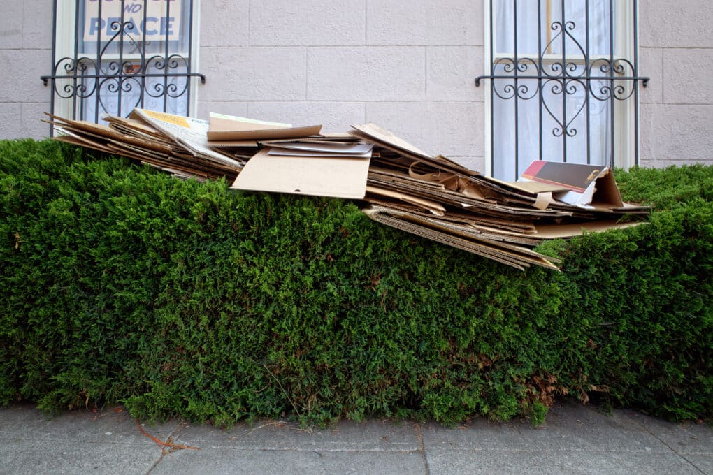 A messy pile of cardboard rests atop a hedge in what looks to be a wealthy urban neighborhood, with decorative iron bars on the windows of a building behind.