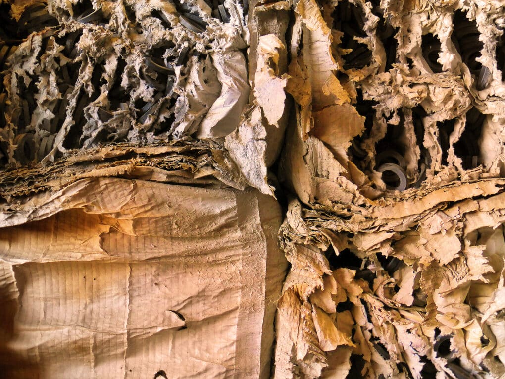 A close-up view of old rotting cardboard.