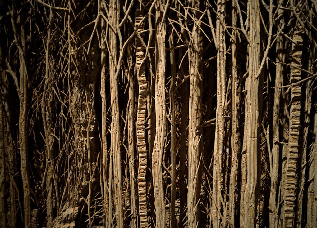 A close-up of an artwork with sheets of cardboard intricately carved into a forest made of thin trees. The mood is dark and somber.