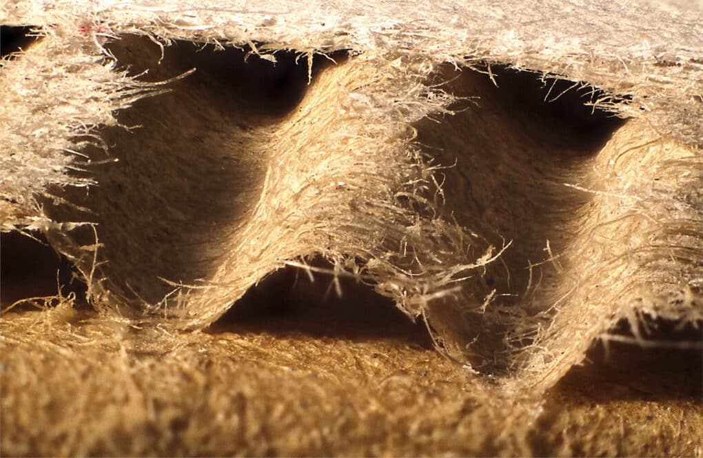 An extreme close-up of the fraying fibers in a piece of cardboard.