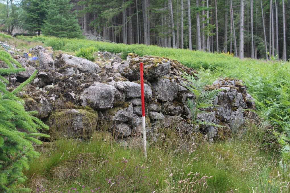 Color photogrpah of gray stone wall surrounded by greenery, with archeologist's red-and-white measuring stick planted in the foreground.