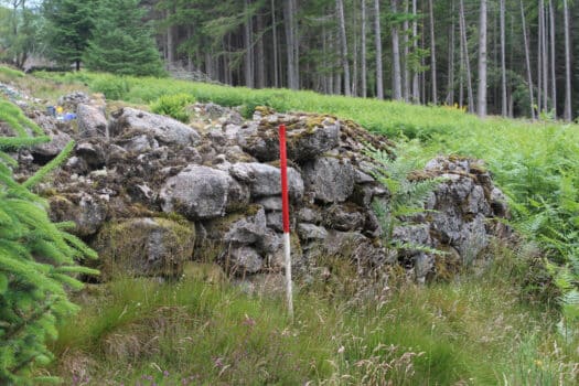 Color photogrpah of gray stone wall surrounded by greenery, with archeologist's red-and-white measuring stick planted in the foreground.