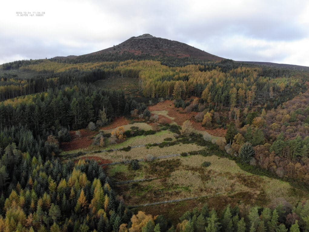 Color photograph of tall peak with wooded slopes, at the center of which is a field with ruined foundation of stone building.