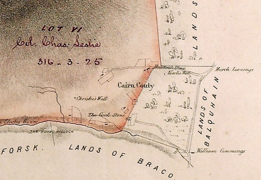 Detail of map with tiny farms marked within a much larger lot.