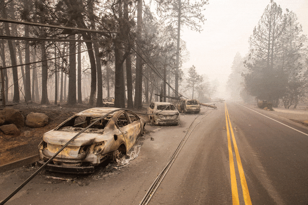 Paradise, California, November 10, 2018, in the aftermath of the Camp Fire. Photograph by Matthew Smith.