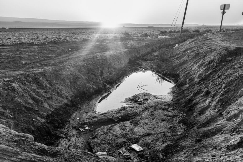 Agricultural fields in Santa Maria, California, 2024. 