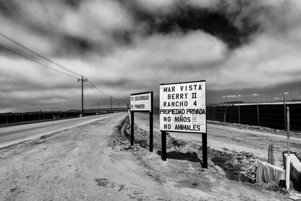 Agricultural fields in Santa Maria, California. 