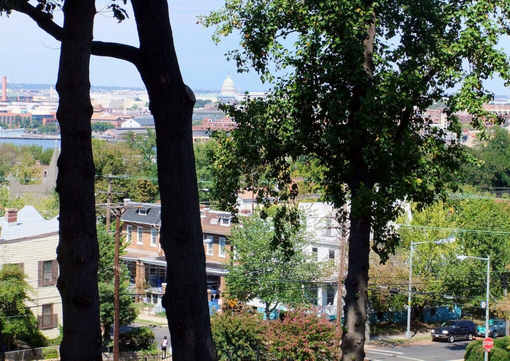 Color photograph of modest brick buildings in leafy neighborhood, with U.S. Capitol Dome visible on the horizon.
