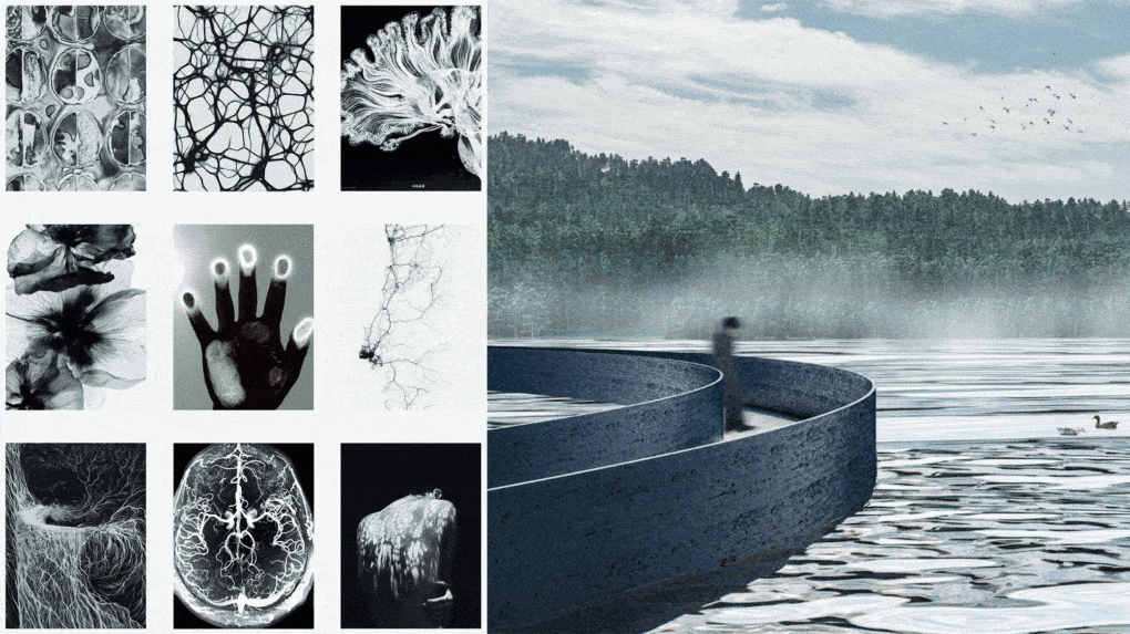 Journi Goodman, architecture thesis project at Tuskegee Institute, exploring how neuroscience, psychology, and biophilic principles can influence the design of wellness centers.
