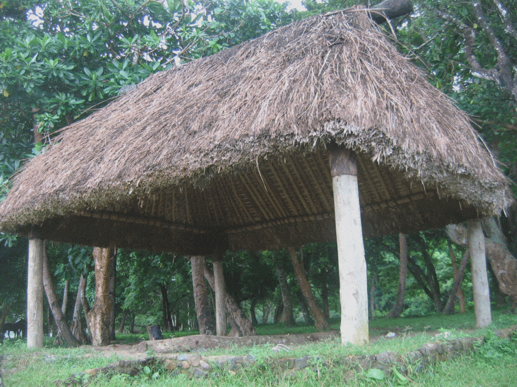 Traditional structure, Fiji, what the author describes as "resilience in action."