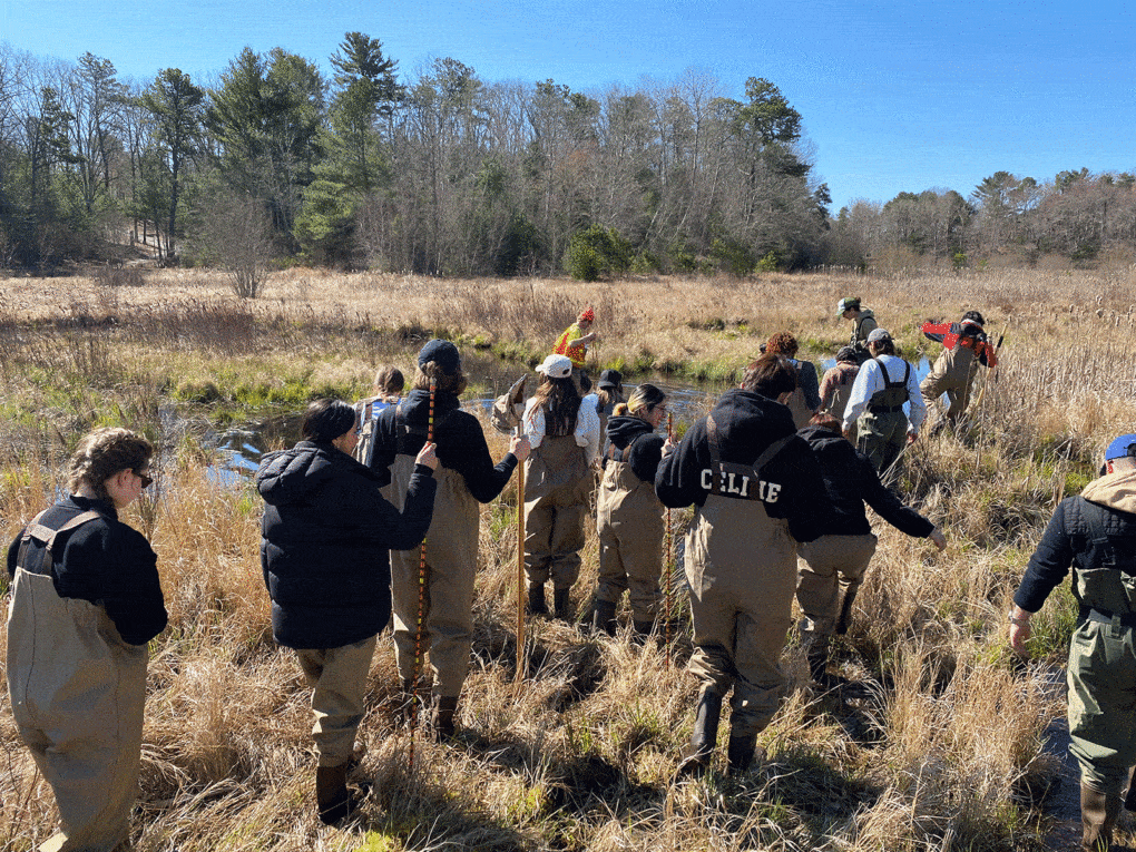 Field trip to Eel River Preserve near Plymouth, Massachusetts, April 2023. 