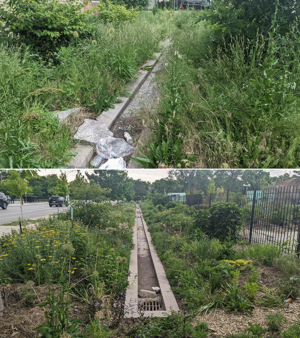 Top: In the North Lawndale neighborhood of Chicago a site originally developed as part of the city's Resilient Corridors initiative, but now without a community steward. Bottom: Across the street, a similar site that benefits from regular maintenance by a community steward.