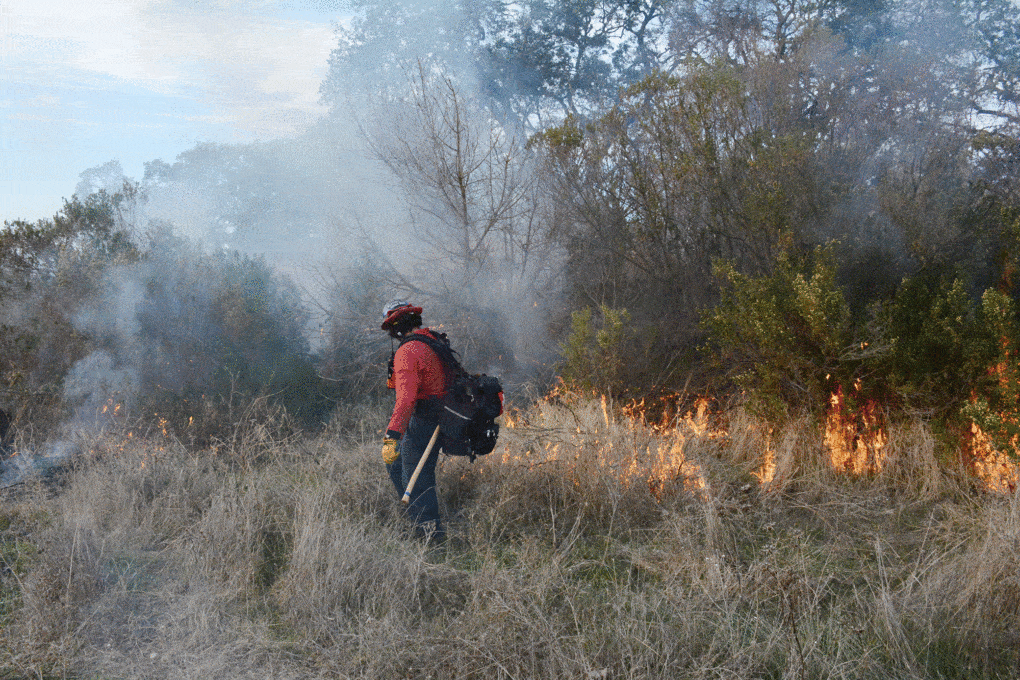 Leok Po (Good Fire) workshop and burn demonstration, offered by the Cache Creek Conservancy in partnership with the Yocha Dehe Wintun Nation. Open to the public, the workshop was attended by CalFIRE staff.