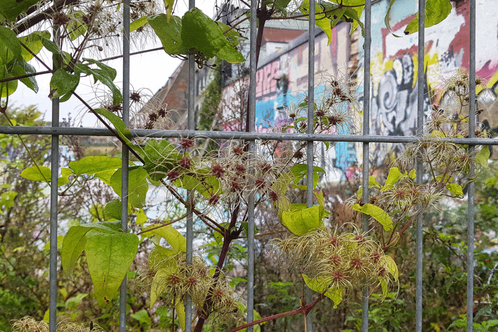 The site of a demolished factory in Sorgenfri, Sweden, was used by both unhoused people and skateboarders, and as an informal park in a part of the city with few green spaces. It is now being redeveloped for private housing.