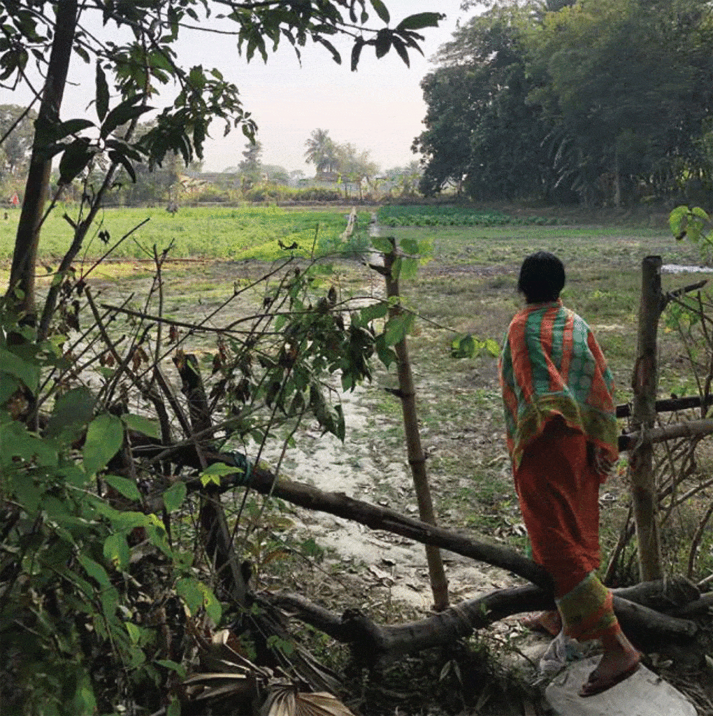The lone residual commercial farm in the author's study area in Kolkata. Rather than rice, the family now cultivates vegetables for sale at the nearby Jinjira Bazar, a wholesale market for vegetable distribution in Kolkata, 2020. Photo by Victoria Jane Marhsall, from Periurban Cartographies.