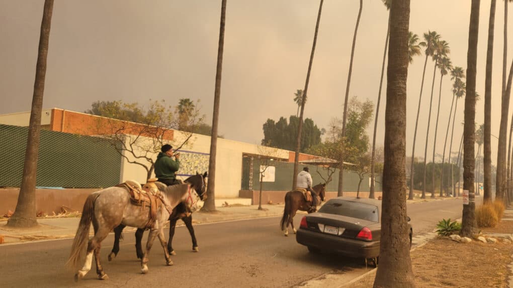 Color photograph of city street lined with palm trees, dense smoke in the air. Two men ridie horses down the middle of the street, the one in the rear leading a third saddled horse.