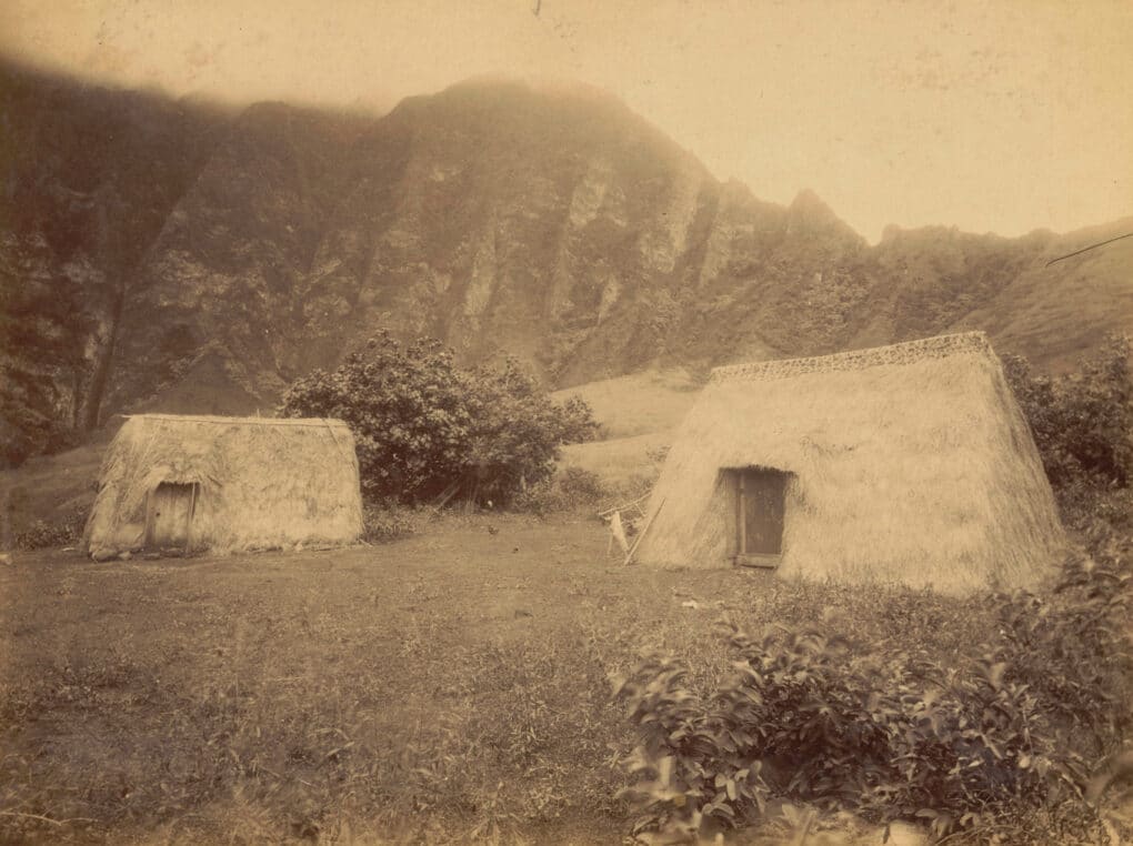 Black-and-white photograph of two thatched dwellings in a mountainside clearing.