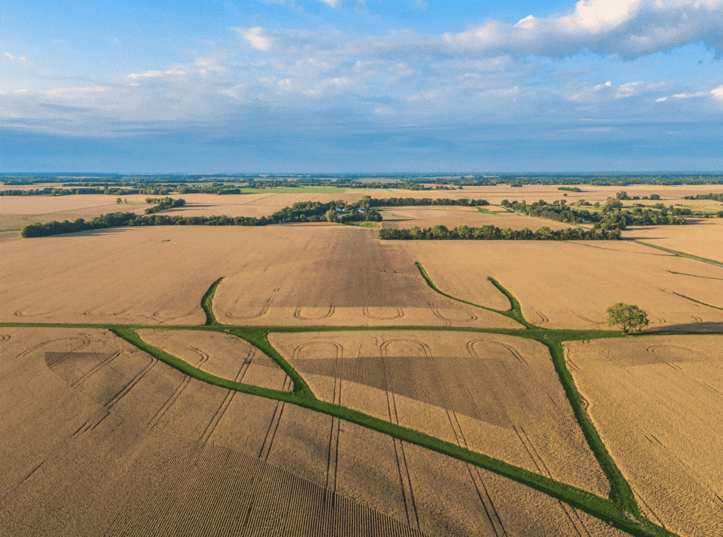 Aerial photo of farm fields in Illinois, an example of the monocultural landscapes that result from large-scale agriculture.