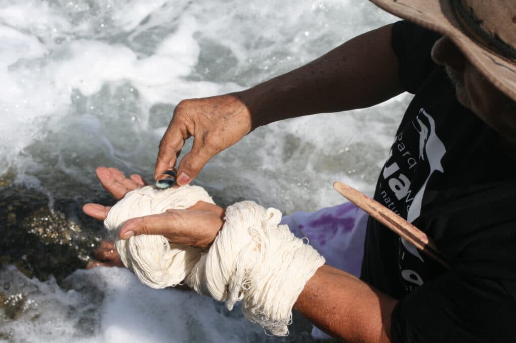 Color photograph of two hands, wrapped in white cloth, stretched out over foamy waves at seashore. One hand holds a small purple snail shell.