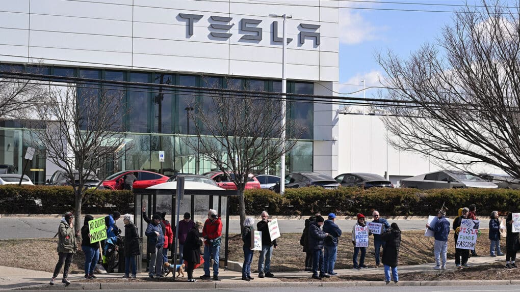 Color photograph of a line of people with signs on the street outside a car dealership. One sign reads "TESLA FUNDS FASCISM."