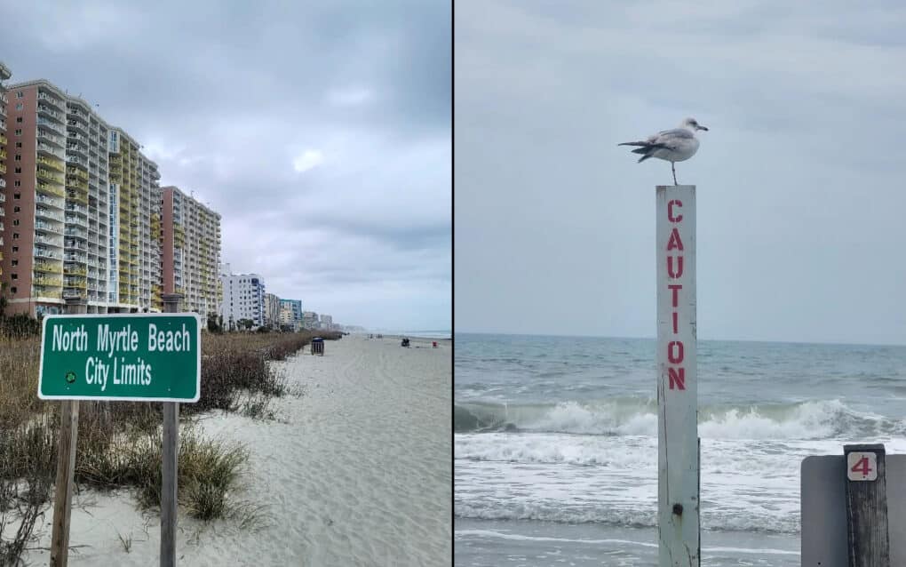 Two color photographs: One with apartment towers facing the beach, with a sign reading "North Myrtle Beach City Limits"; one with a white-painted wooden pole stenciled with the word "CAUTION" in red; on top of the pole sits a gull facing the ocean waves.