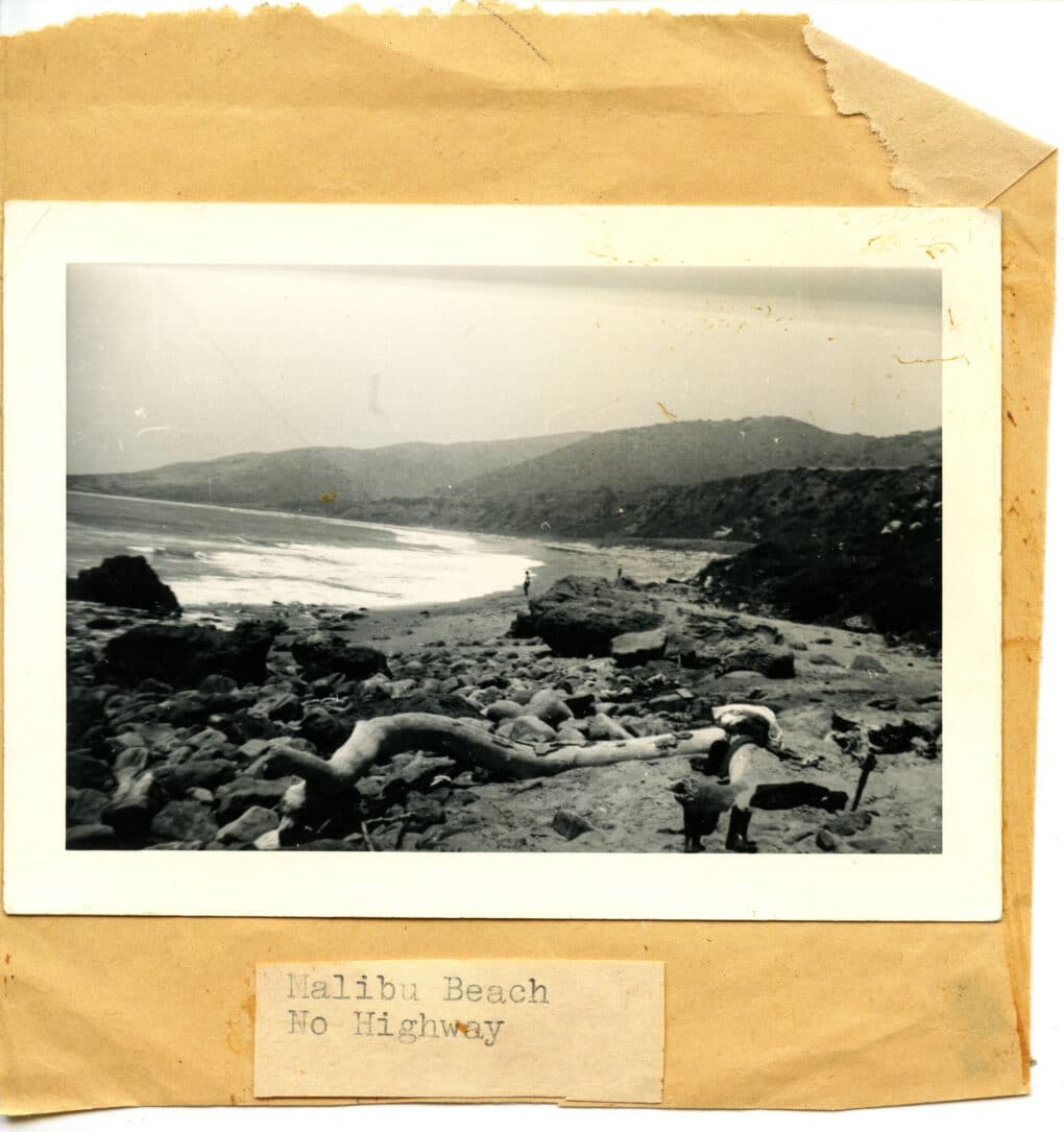 Black and white photo of beach landscape with driftwood, rocks, and no houses or roads. 