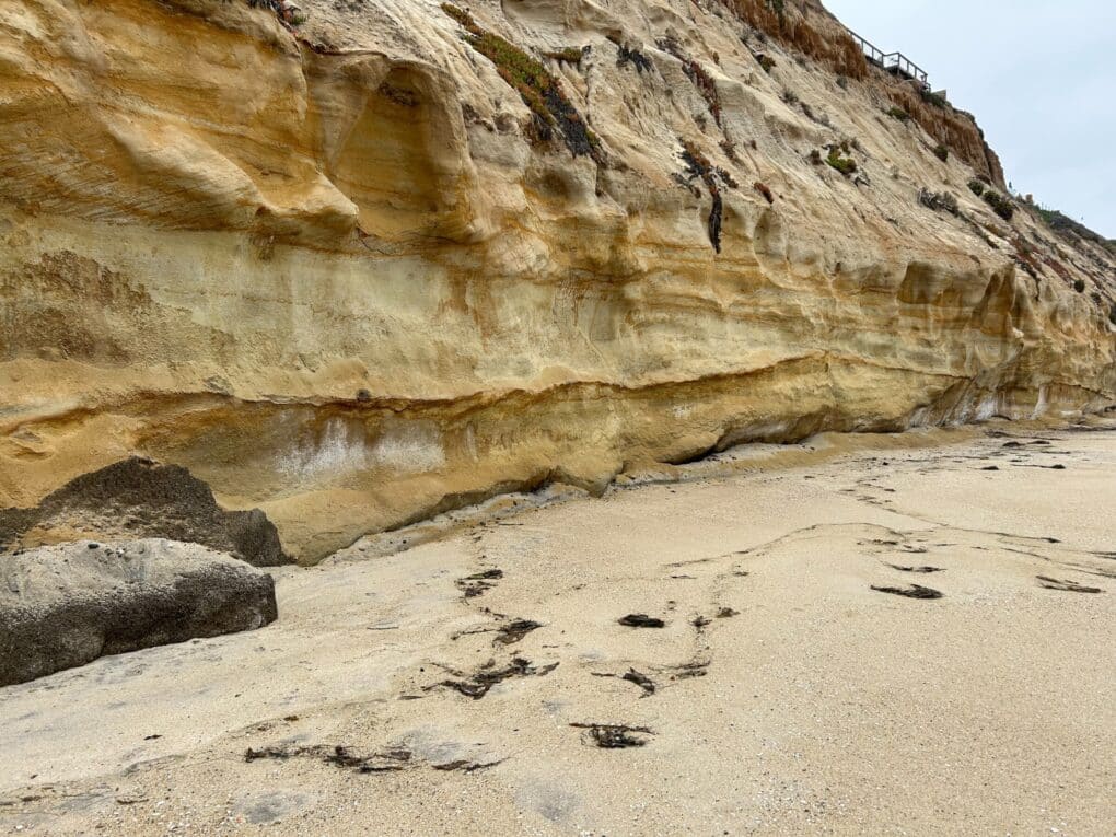 Closeup photo of sand bluff erosion—shades of beige indicate water marks and parts of the bluff are carved away. 